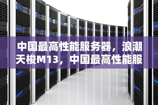 中国最高性能服务器，浪潮天梭M13，中国最高性能服务器排名