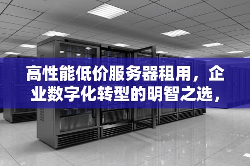 高性能低价服务器租用，企业数字化转型的明智之选，高性能低价服务器租用什么意思
