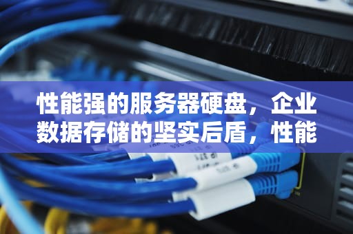 性能强的服务器硬盘，企业数据存储的坚实后盾，性能强的服务器硬盘有哪些