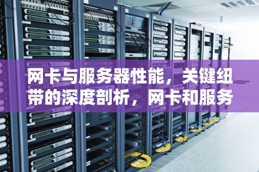 网卡与服务器性能，关键纽带的深度剖析，网卡和服务器性能有关系吗