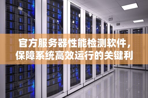 官方服务器性能检测软件，保障系统高效运行的关键利器，官方服务器性能检测软件下载