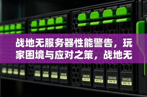 战地无服务器性能警告，玩家困境与应对之策，战地无服务器性能警告怎么解决
