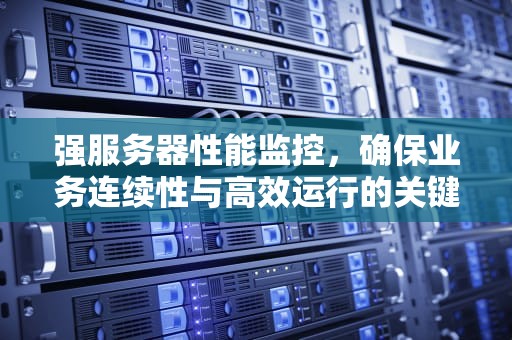 强服务器性能监控，确保业务连续性与高效运行的关键，强的服务器性能监控怎么用