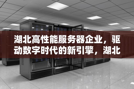 湖北高性能服务器企业，驱动数字时代的新引擎，湖北高性能服务器企业有哪些