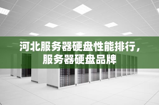 河北服务器硬盘性能排行，服务器硬盘品牌
