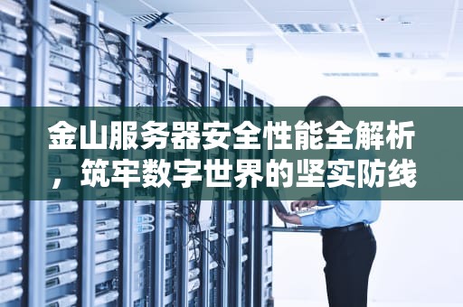 金山服务器安全性能全解析，筑牢数字世界的坚实防线，金山云服务器