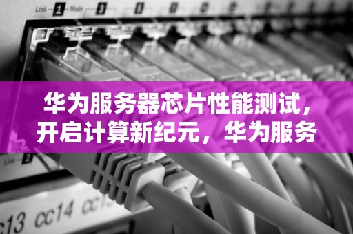 华为服务器芯片性能测试，开启计算新纪元，华为服务器芯片性能测试软件