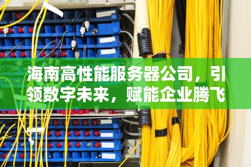海南高性能服务器公司，引领数字未来，赋能企业腾飞，海南高性能服务器公司有哪些