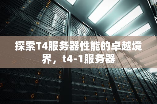 探索T4服务器性能的卓越境界，t4-1服务器