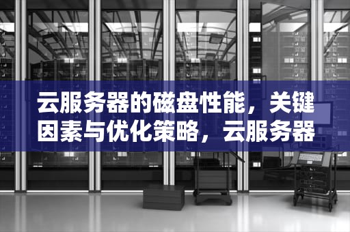 云服务器的磁盘性能，关键因素与优化策略，云服务器的磁盘性能是什么