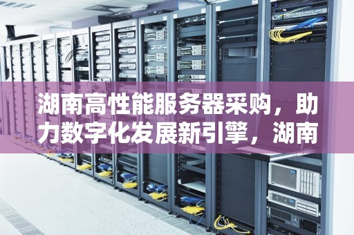 湖南高性能服务器采购，助力数字化发展新引擎，湖南高性能服务器采购项目