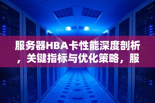 服务器HBA卡性能深度剖析，关键指标与优化策略，服务器hba卡的作用