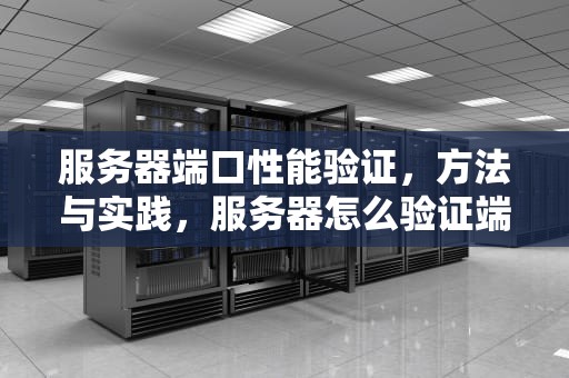 服务器端口性能验证，方法与实践，服务器怎么验证端口性能好坏