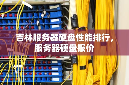 吉林服务器硬盘性能排行，服务器硬盘报价