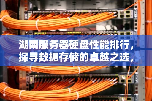 湖南服务器硬盘性能排行，探寻数据存储的卓越之选，湖南服务器公司