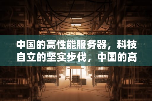 中国的高性能服务器，科技自立的坚实步伐，中国的高性能服务器有哪些