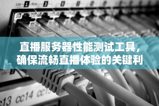 直播服务器性能测试工具，确保流畅直播体验的关键利器，直播服务器性能测试工具有哪些