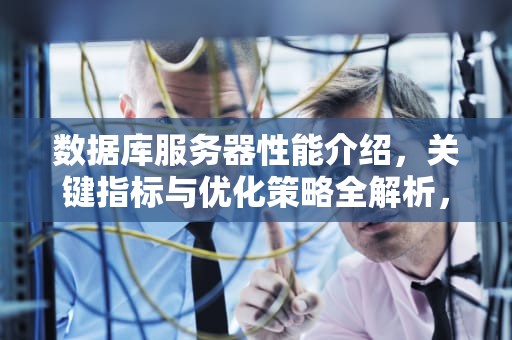 数据库服务器性能介绍，关键指标与优化策略全解析，数据库服务器性能介绍怎么写