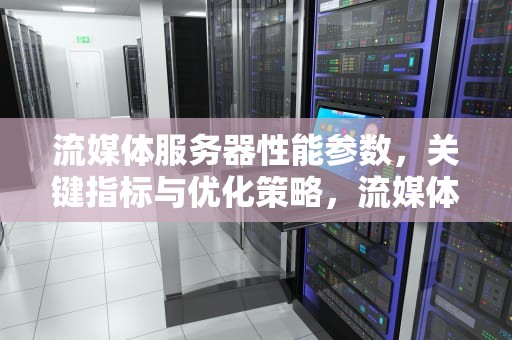 流媒体服务器性能参数，关键指标与优化策略，流媒体服务器性能参数表
