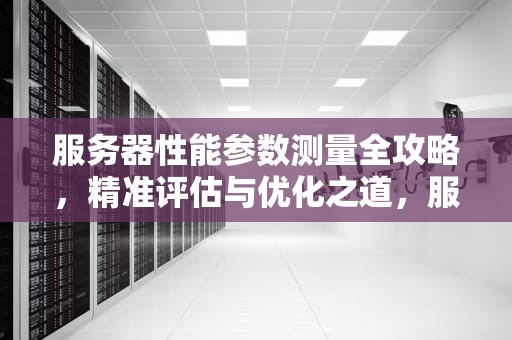 服务器性能参数测量全攻略，精准评估与优化之道，服务器怎么测量性能参数的