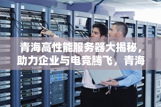 青海高性能服务器大揭秘，助力企业与电竞腾飞，青海高性能服务器有哪些公司