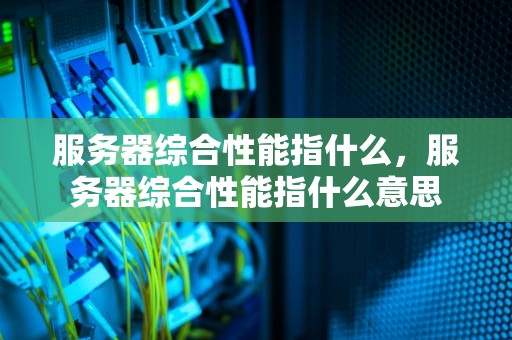 服务器综合性能指什么，服务器综合性能指什么意思