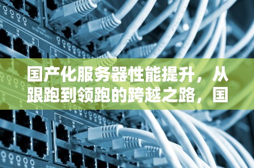 国产化服务器性能提升，从跟跑到领跑的跨越之路，国产化服务器性能提升方案