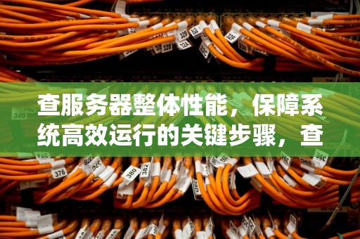 查服务器整体性能，保障系统高效运行的关键步骤，查服务器整体性能的软件