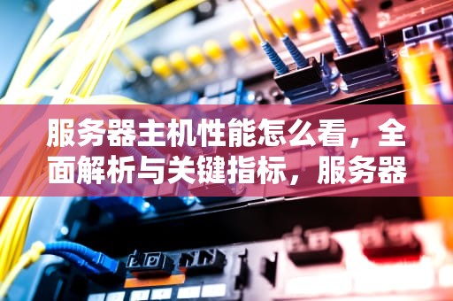 服务器主机性能怎么看，全面解析与关键指标，服务器主机性能怎么看的