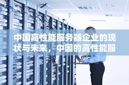 中国高性能服务器企业的现状与未来，中国的高性能服务器企业有哪些