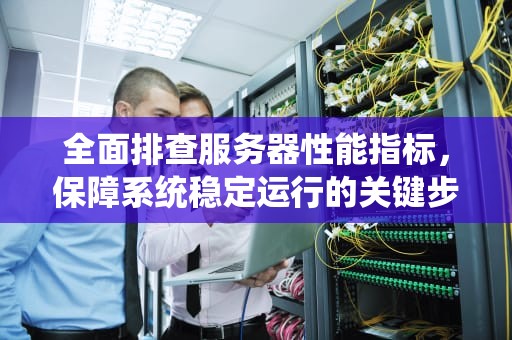 全面排查服务器性能指标，保障系统稳定运行的关键步骤，排查服务器性能指标的方法