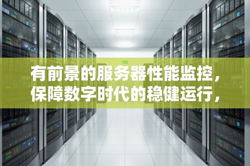 有前景的服务器性能监控，保障数字时代的稳健运行，有前景的服务器性能监控软件