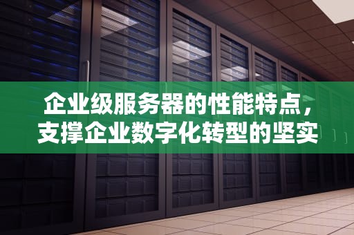 企业级服务器的性能特点，支撑企业数字化转型的坚实基石，企业级服务器的性能特点是什么
