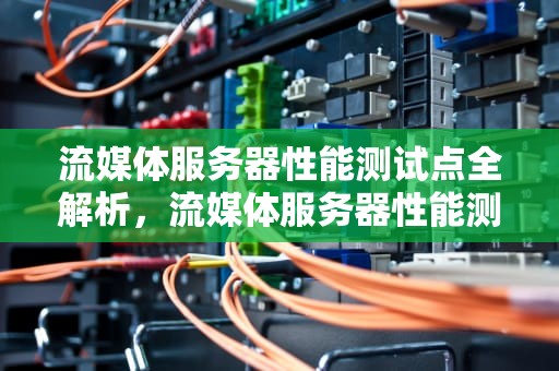 流媒体服务器性能测试点全解析，流媒体服务器性能测试点有哪些