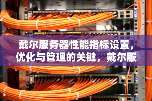 戴尔服务器性能指标设置，优化与管理的关键，戴尔服务器性能指标设置在哪