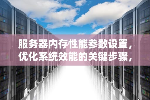 服务器内存性能参数设置，优化系统效能的关键步骤，服务器内存性能参数设置方法