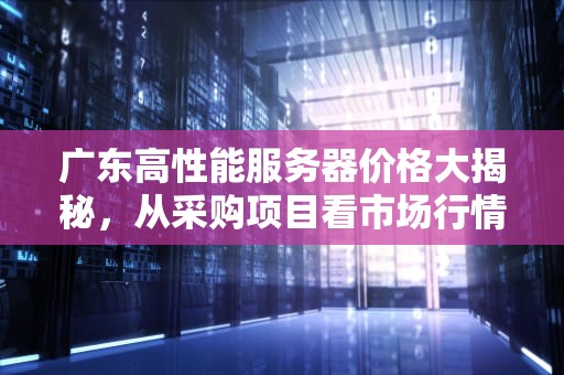广东高性能服务器价格大揭秘，从采购项目看市场行情，广东高性能服务器多少钱一个