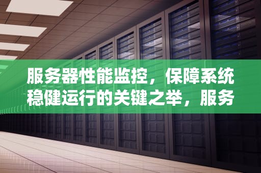 服务器性能监控，保障系统稳健运行的关键之举，服务器性能监控的必要性有哪些