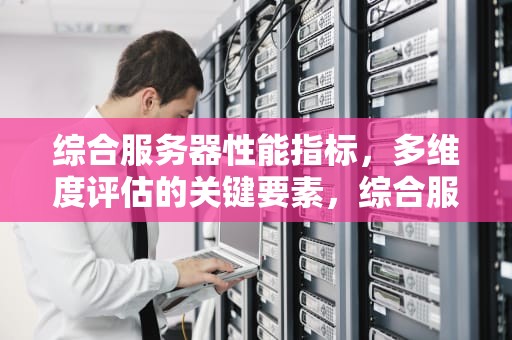 综合服务器性能指标，多维度评估的关键要素，综合服务器性能指标包括哪些