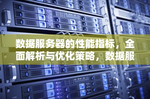 数据服务器的性能指标，全面解析与优化策略，数据服务器的性能指标有哪些