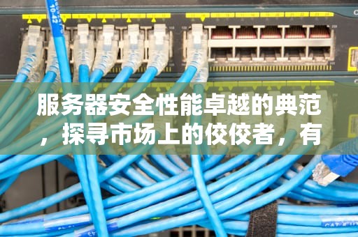 服务器安全性能卓越的典范，探寻市场上的佼佼者，有哪些服务器安全性能好的