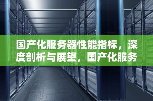 国产化服务器性能指标，深度剖析与展望，国产化服务器性能指标有哪些