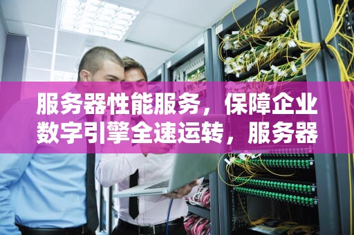 服务器性能服务，保障企业数字引擎全速运转，服务器性能服务什么意思