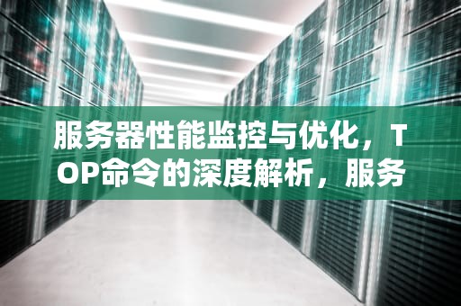 服务器性能监控与优化，TOP命令的深度解析，服务器性能指标有哪些
