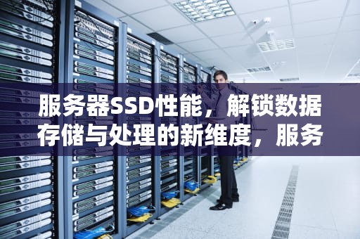 服务器SSD性能，解锁数据存储与处理的新维度，服务器 ssd