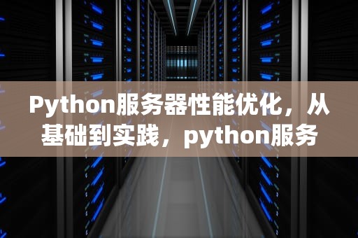 Python服务器性能优化，从基础到实践，python服务器性能