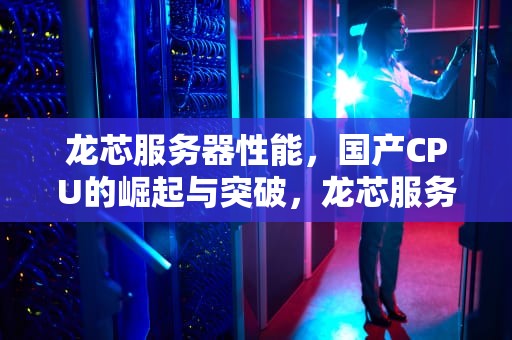 龙芯服务器性能，国产CPU的崛起与突破，龙芯服务器性能怎么样