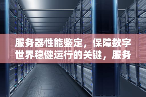 服务器性能鉴定，保障数字世界稳健运行的关键，服务器性能鉴定软件