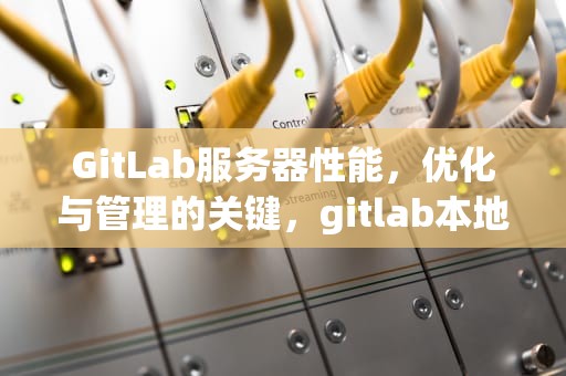 GitLab服务器性能，优化与管理的关键，gitlab本地服务器搭建