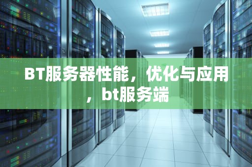 BT服务器性能，优化与应用，bt服务端